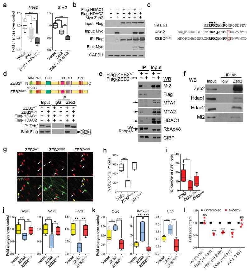 https://cdn.ncbi.nlm.nih.gov/pmc/blobs/16e7/4961522/23b7ba40419f/nihms786838f8.jpg