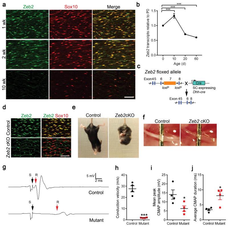 https://cdn.ncbi.nlm.nih.gov/pmc/blobs/16e7/4961522/3314728efb74/nihms786838f1.jpg