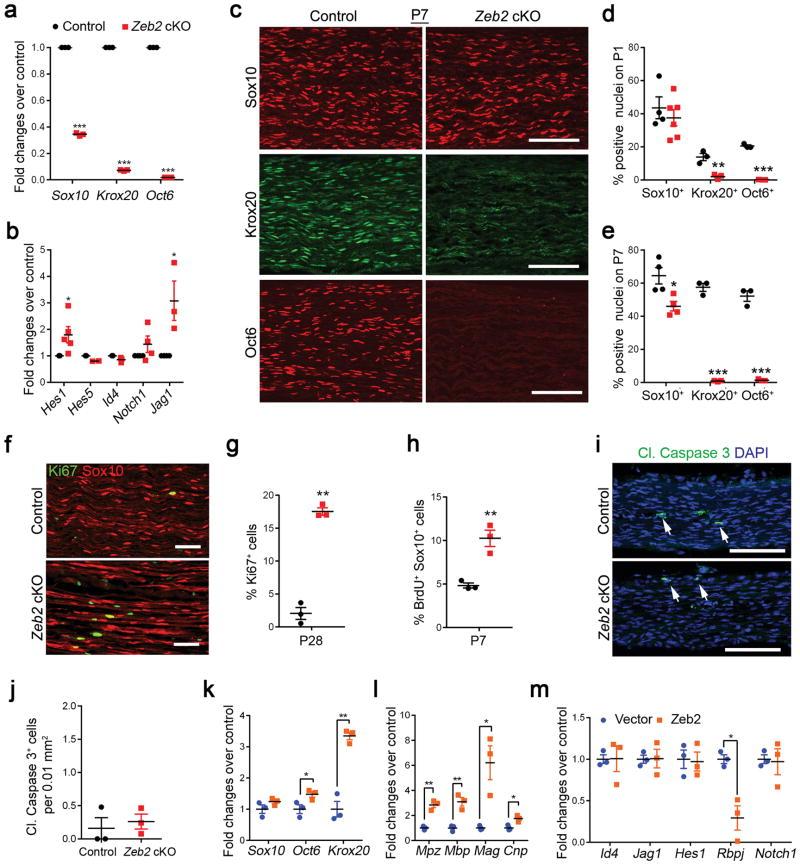 https://cdn.ncbi.nlm.nih.gov/pmc/blobs/16e7/4961522/546d89657beb/nihms786838f3.jpg