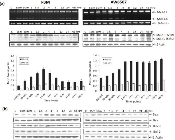 https://cdn.ncbi.nlm.nih.gov/pmc/blobs/16e8/3487741/8fd3f0efd536/1748-717X-7-135-2.jpg
