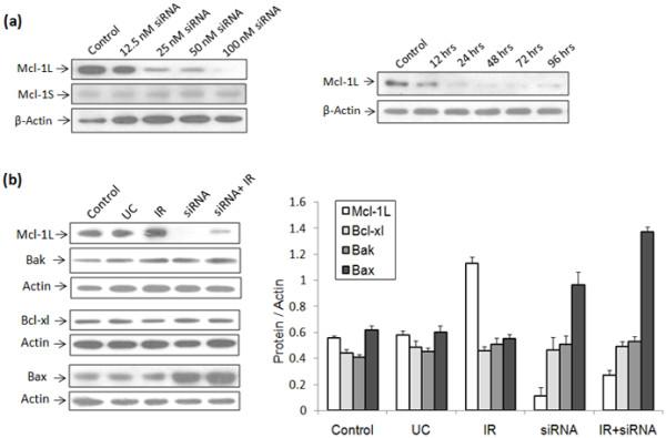 https://cdn.ncbi.nlm.nih.gov/pmc/blobs/16e8/3487741/9b3938950676/1748-717X-7-135-5.jpg