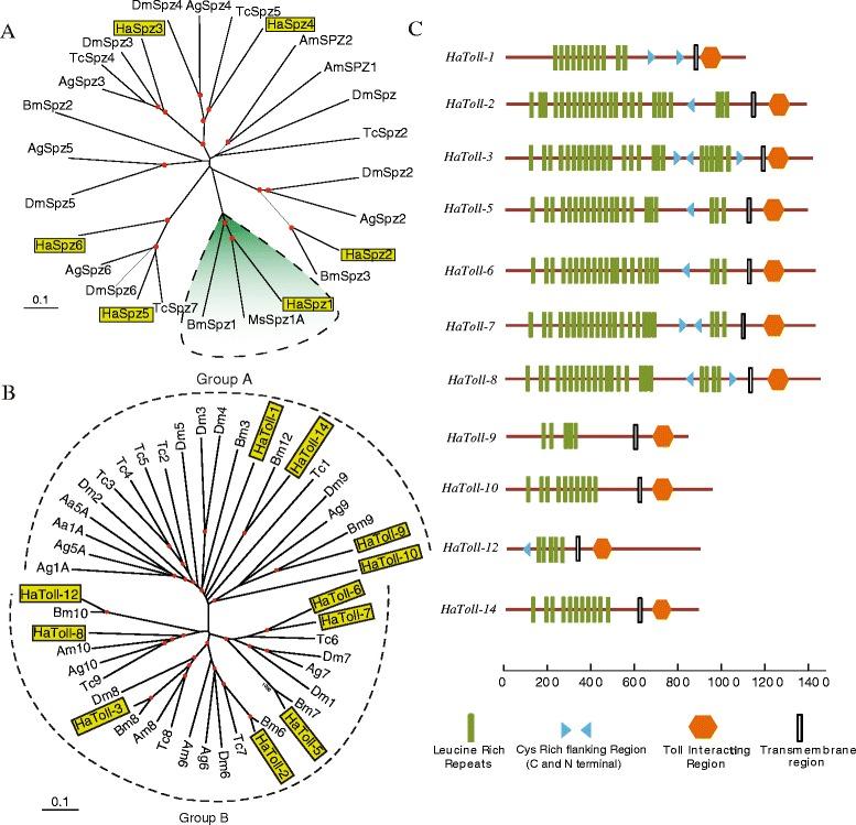 https://cdn.ncbi.nlm.nih.gov/pmc/blobs/16e8/4490664/7feb26b462a5/12864_2015_1509_Fig7_HTML.jpg