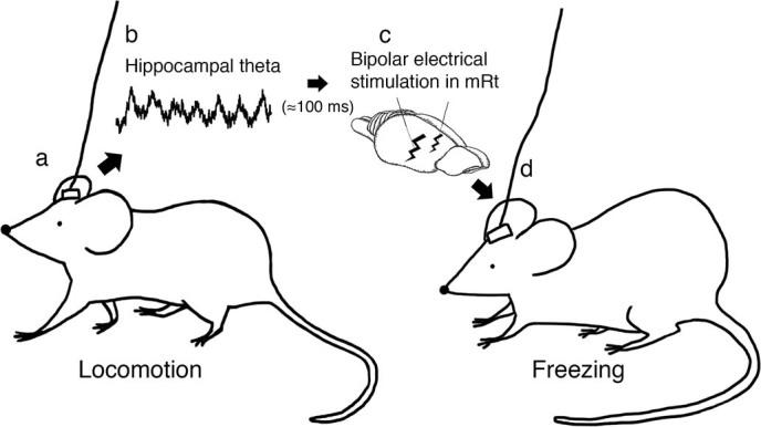 https://cdn.ncbi.nlm.nih.gov/pmc/blobs/16ea/4404680/04c097f214b1/srep09921-f5.jpg