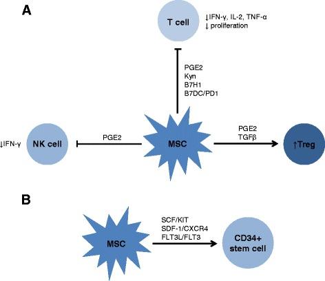 https://cdn.ncbi.nlm.nih.gov/pmc/blobs/16eb/4681052/8433ecb43bbb/12865_2015_135_Fig2_HTML.jpg