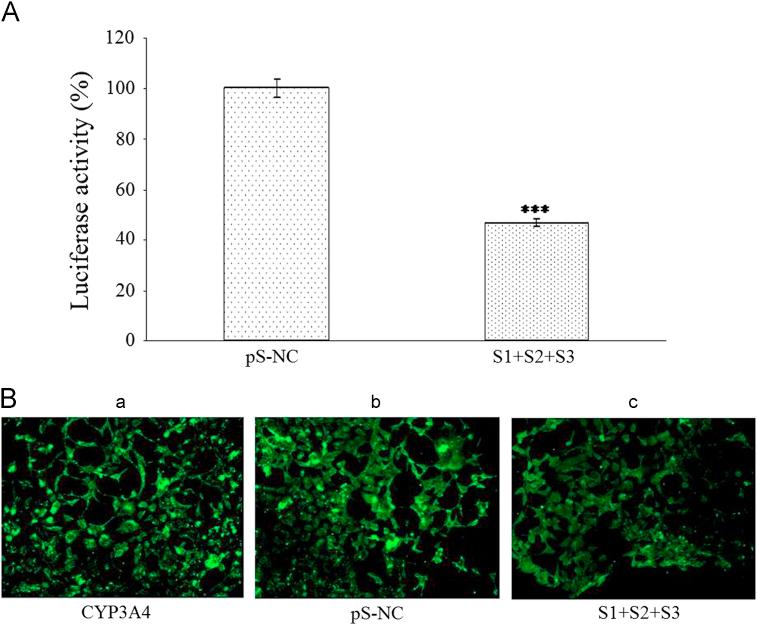 https://cdn.ncbi.nlm.nih.gov/pmc/blobs/16ed/4629097/3555443c3533/gr2.jpg