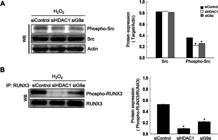 https://cdn.ncbi.nlm.nih.gov/pmc/blobs/16ee/11645303/2368b149b0b0/12010_2024_4944_Fig2_HTML.jpg