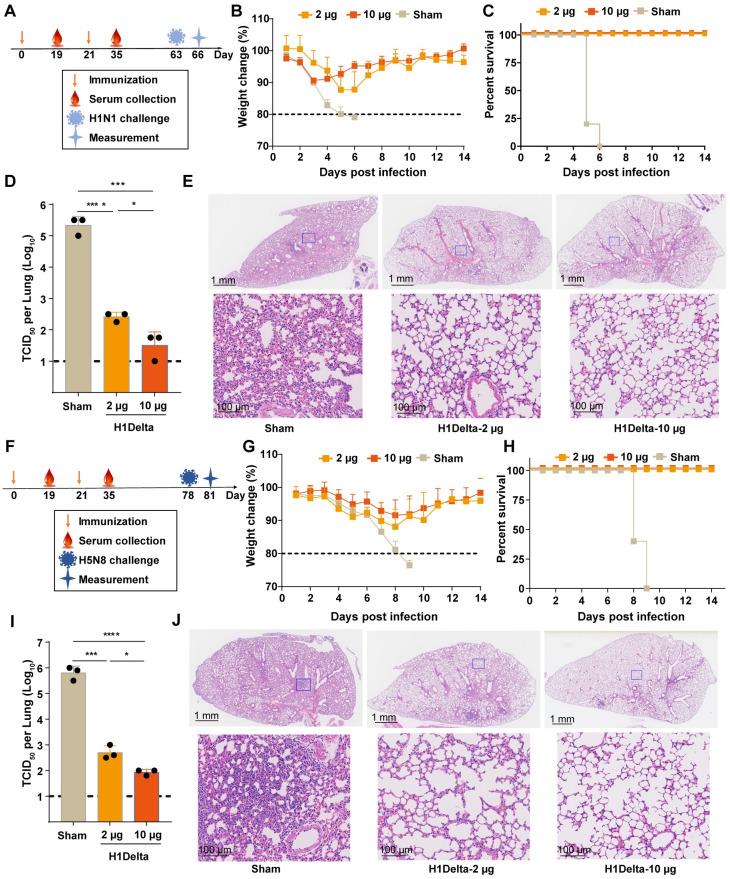 https://cdn.ncbi.nlm.nih.gov/pmc/blobs/16ef/11414905/4d323059de38/ppat.1012508.g003.jpg