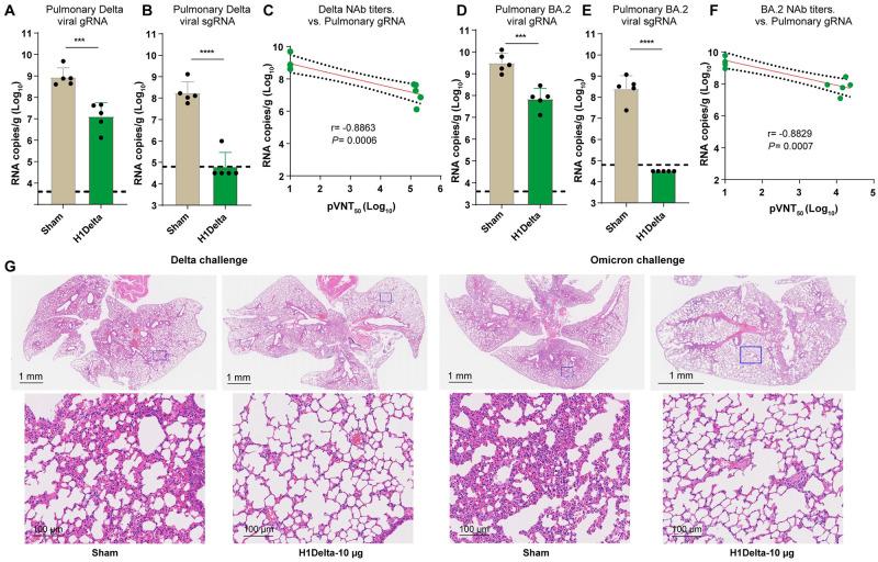 https://cdn.ncbi.nlm.nih.gov/pmc/blobs/16ef/11414905/b3d5f7e40d78/ppat.1012508.g004.jpg