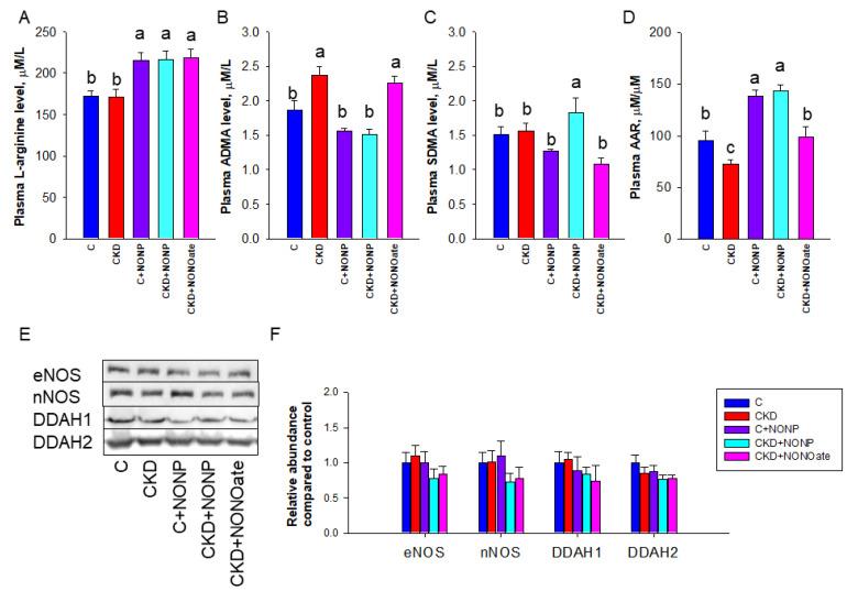 https://cdn.ncbi.nlm.nih.gov/pmc/blobs/16ef/9951902/4330429fe8ea/antioxidants-12-00513-g005.jpg