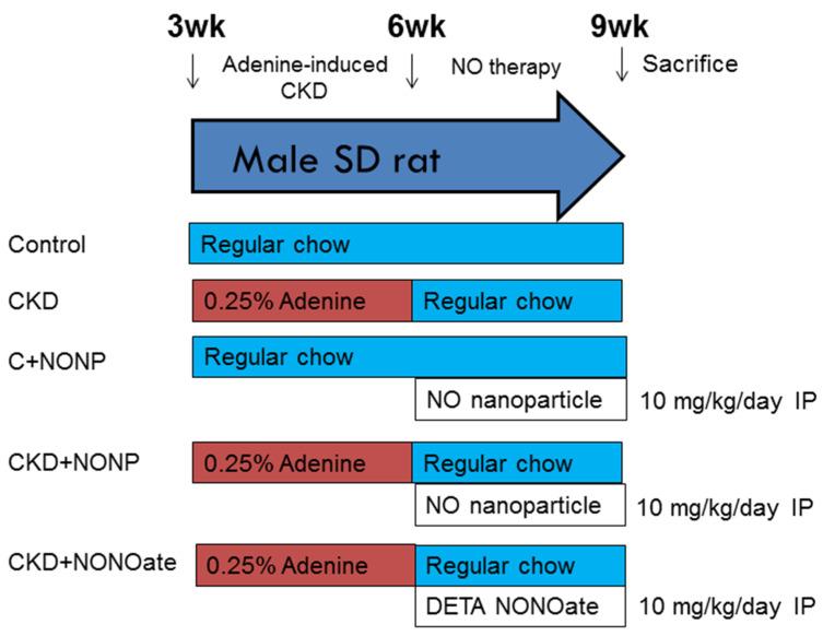https://cdn.ncbi.nlm.nih.gov/pmc/blobs/16ef/9951902/4a3105b4849b/antioxidants-12-00513-g001.jpg