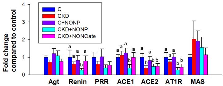 https://cdn.ncbi.nlm.nih.gov/pmc/blobs/16ef/9951902/b045728512aa/antioxidants-12-00513-g007.jpg
