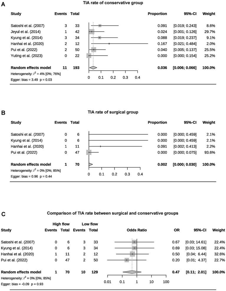 https://cdn.ncbi.nlm.nih.gov/pmc/blobs/16f0/12282249/133f4b3d0bdc/fneur-16-1626817-g004.jpg