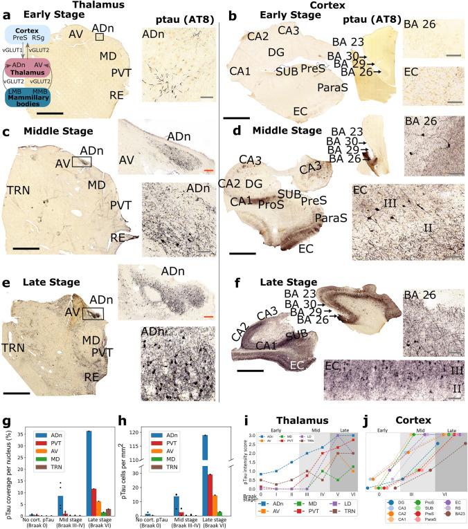 https://cdn.ncbi.nlm.nih.gov/pmc/blobs/16f1/11166832/f9c148b23a8b/401_2024_2749_Fig1_HTML.jpg