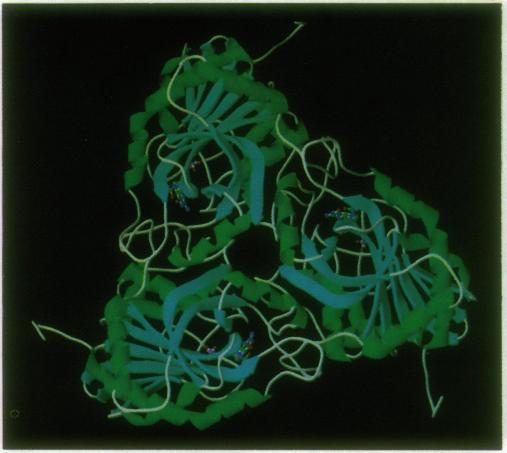 https://cdn.ncbi.nlm.nih.gov/pmc/blobs/16f1/53171/ce475f2f901e/pnas01074-0570-a.jpg