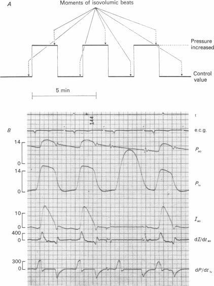 https://cdn.ncbi.nlm.nih.gov/pmc/blobs/16f2/1353750/084b4f6991d3/jphysiol00790-0066-a.jpg