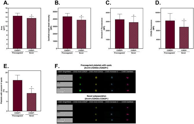 https://cdn.ncbi.nlm.nih.gov/pmc/blobs/16f3/9867743/215d8e5e7834/41598_2023_28352_Fig5_HTML.jpg