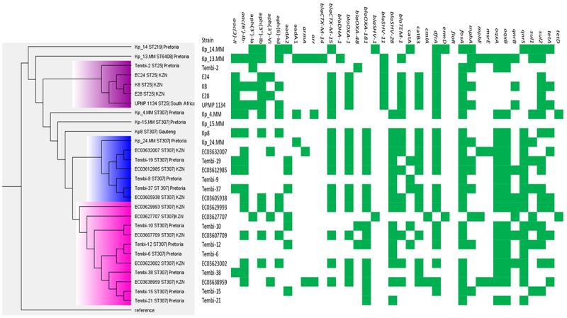 https://cdn.ncbi.nlm.nih.gov/pmc/blobs/16f4/12147488/cf40e96fb524/KVIR_A_2514092_F0001_OC.jpg