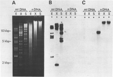 https://cdn.ncbi.nlm.nih.gov/pmc/blobs/16f4/327269/f6a7017d27da/nar00419-0117-a.jpg