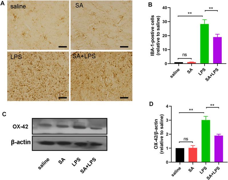 https://cdn.ncbi.nlm.nih.gov/pmc/blobs/16f5/10652795/5972ad445892/fphar-14-1265571-g007.jpg