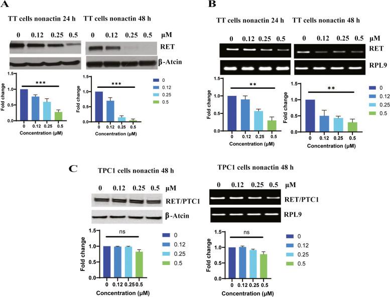 https://cdn.ncbi.nlm.nih.gov/pmc/blobs/16f6/11665027/85e52a00dfe6/12885_2024_13345_Fig2_HTML.jpg