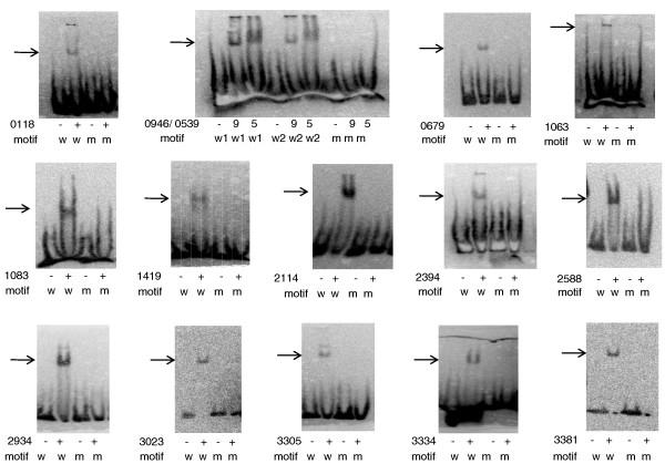 https://cdn.ncbi.nlm.nih.gov/pmc/blobs/16f6/3333781/30466853a176/gb-2011-12-10-r99-9.jpg