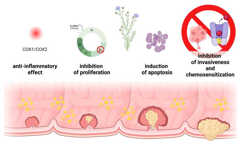 https://cdn.ncbi.nlm.nih.gov/pmc/blobs/16fa/10527327/716e403c521f/biomedicines-11-02592-g011.jpg