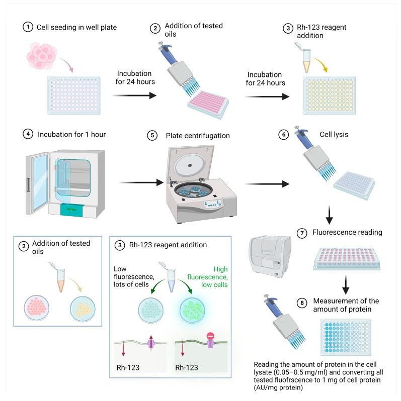 https://cdn.ncbi.nlm.nih.gov/pmc/blobs/16fa/10527327/f39e5e235e0c/biomedicines-11-02592-g001.jpg