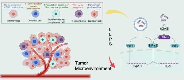https://cdn.ncbi.nlm.nih.gov/pmc/blobs/16fb/11245632/64f9d0ebed6e/MCO2-5-e640-g008.jpg