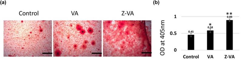 https://cdn.ncbi.nlm.nih.gov/pmc/blobs/16fb/12086624/29833ed0fe95/j_biol-2025-1090-fig003.jpg