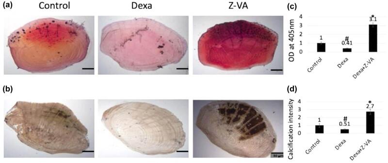 https://cdn.ncbi.nlm.nih.gov/pmc/blobs/16fb/12086624/9eb91dd175ae/j_biol-2025-1090-fig005.jpg