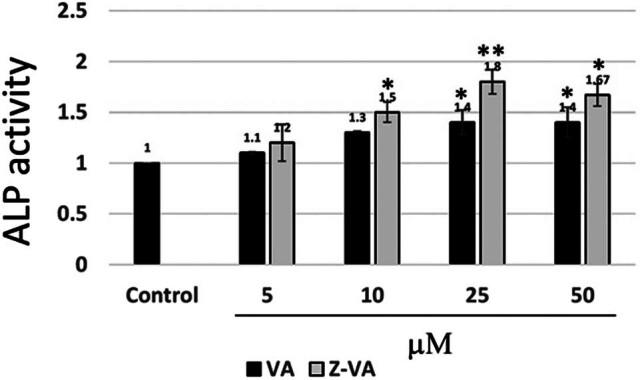 https://cdn.ncbi.nlm.nih.gov/pmc/blobs/16fb/12086624/d2a1838893a2/j_biol-2025-1090-fig002.jpg