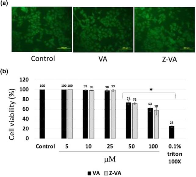 https://cdn.ncbi.nlm.nih.gov/pmc/blobs/16fb/12086624/dcc6ebfa807a/j_biol-2025-1090-fig001.jpg