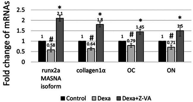 https://cdn.ncbi.nlm.nih.gov/pmc/blobs/16fb/12086624/f6011887941c/j_biol-2025-1090-fig008.jpg