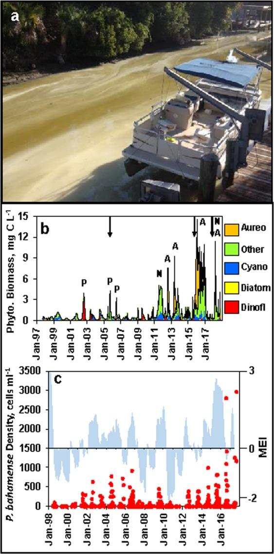 https://cdn.ncbi.nlm.nih.gov/pmc/blobs/16fb/7002698/4edf2938def7/41598_2020_58771_Fig7_HTML.jpg