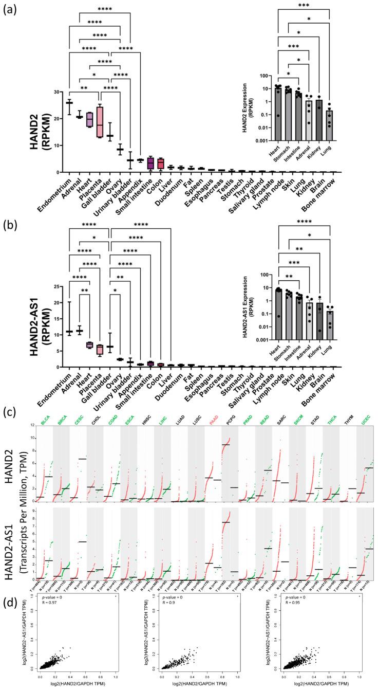 https://cdn.ncbi.nlm.nih.gov/pmc/blobs/16fc/10672054/5377c49c7693/ijms-24-16546-g004.jpg