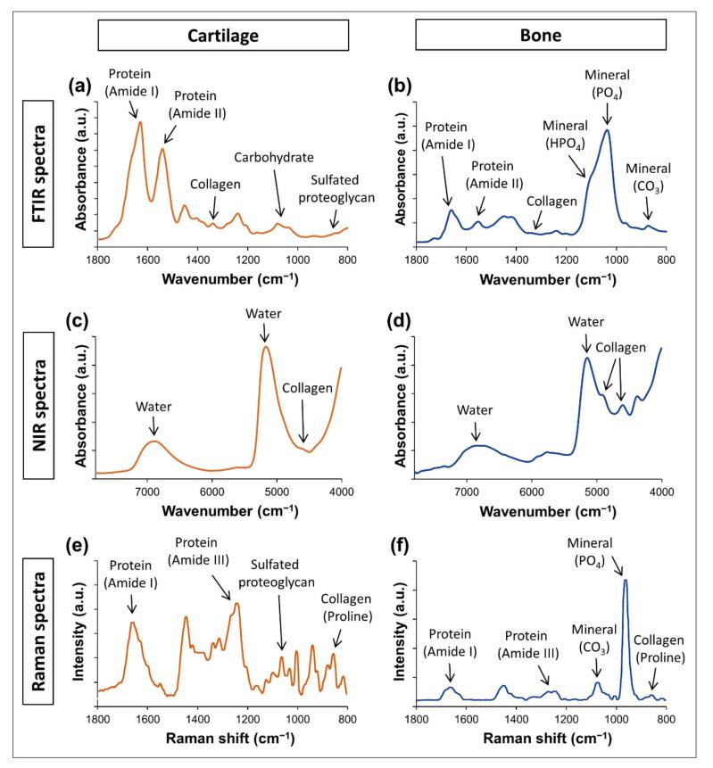 https://cdn.ncbi.nlm.nih.gov/pmc/blobs/16fc/7916244/491ed72715c6/molecules-26-00922-g003.jpg