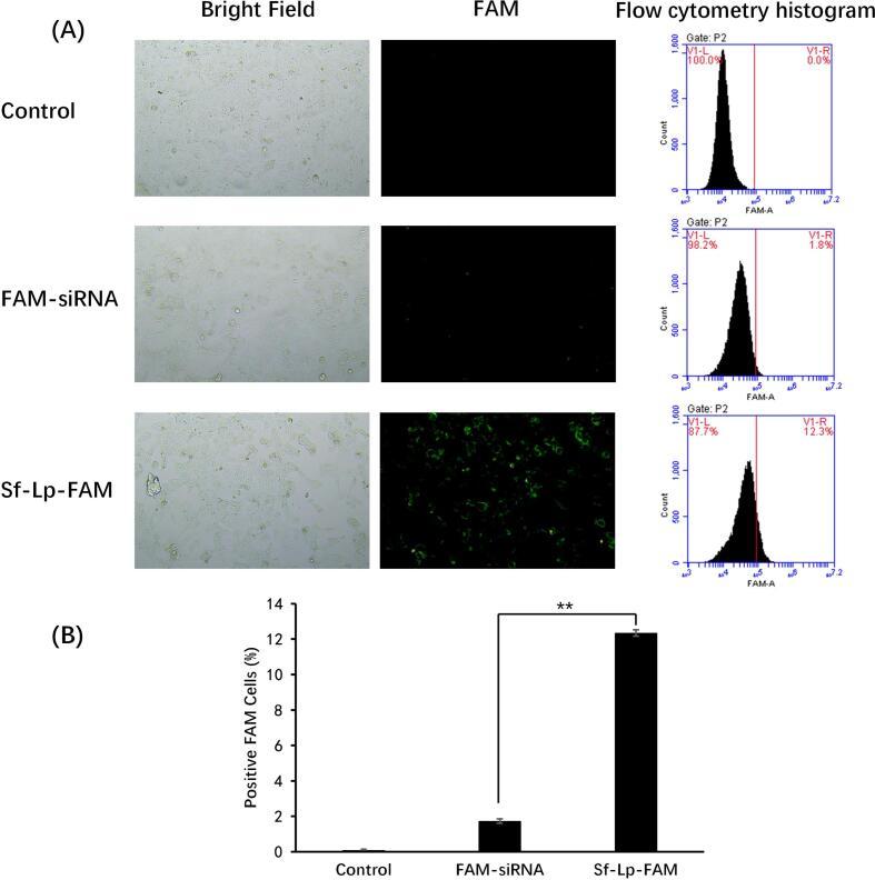https://cdn.ncbi.nlm.nih.gov/pmc/blobs/16fe/11357851/9bad2e5ca0a0/gr3.jpg