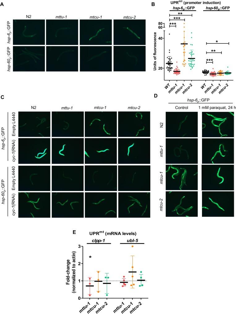 https://cdn.ncbi.nlm.nih.gov/pmc/blobs/1700/5544249/4f7335fd8127/pgen.1006921.g006.jpg