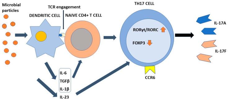 https://cdn.ncbi.nlm.nih.gov/pmc/blobs/1701/9781511/c1ad4ce027a8/pathogens-11-01547-g001.jpg