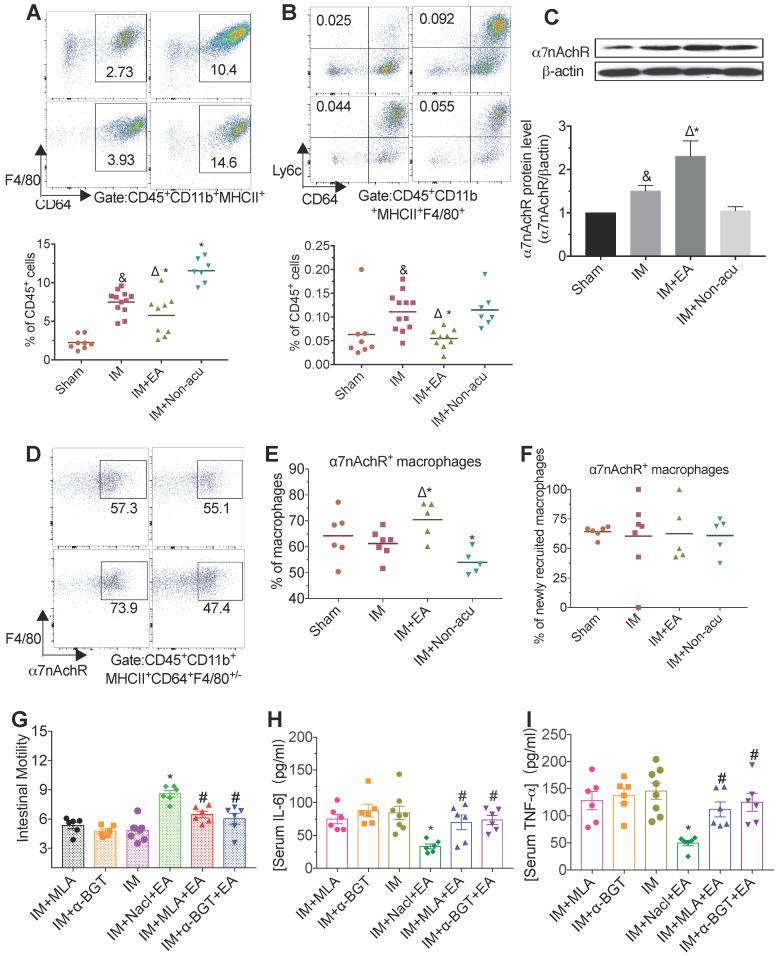 https://cdn.ncbi.nlm.nih.gov/pmc/blobs/1705/7977469/68d8736d909b/thnov11p4078g002.jpg