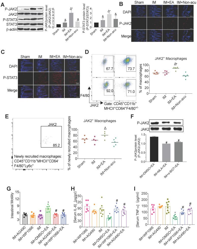 https://cdn.ncbi.nlm.nih.gov/pmc/blobs/1705/7977469/eceb4499d7cf/thnov11p4078g003.jpg