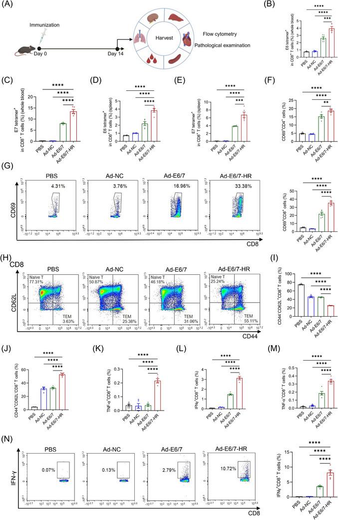 https://cdn.ncbi.nlm.nih.gov/pmc/blobs/1709/12017896/a2cbb7edc232/CTM2-15-e70305-g006.jpg