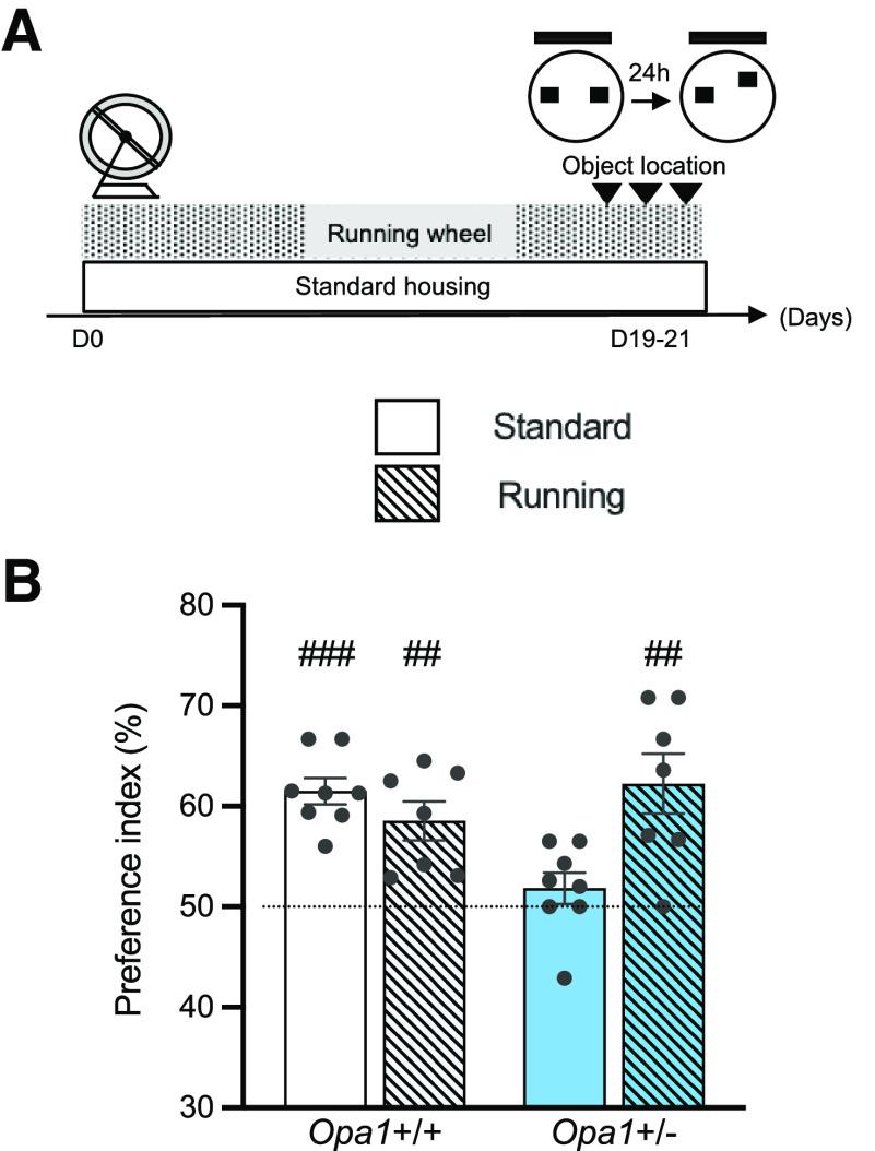 https://cdn.ncbi.nlm.nih.gov/pmc/blobs/170c/10668243/d52b05852a34/ENEURO.0073-23.2023_f004.jpg