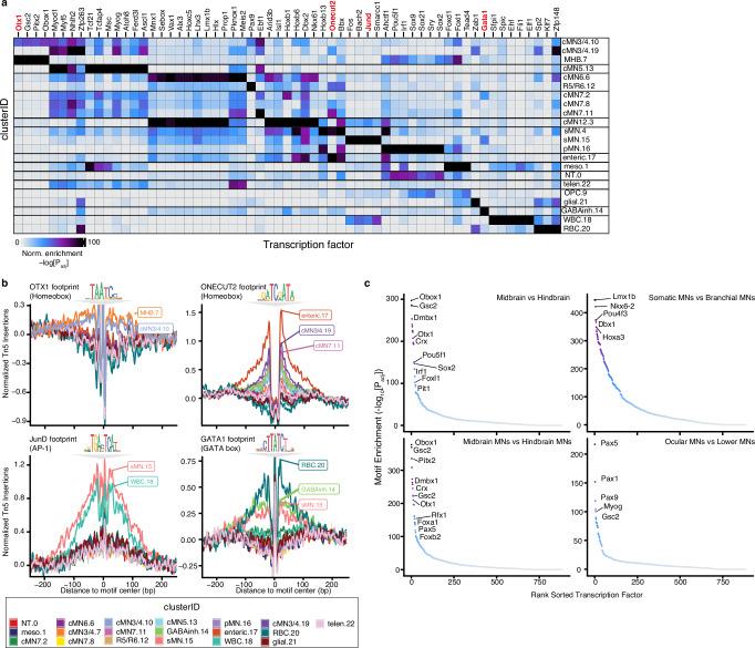 https://cdn.ncbi.nlm.nih.gov/pmc/blobs/170e/11436875/bc5ec45ab3ab/41467_2024_52463_Fig2_HTML.jpg
