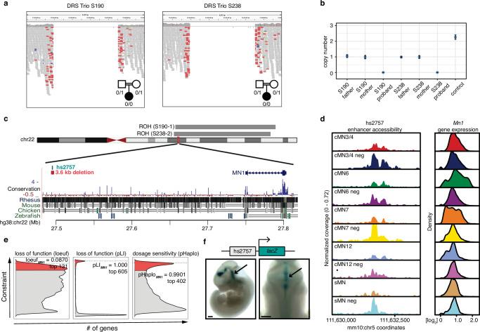 https://cdn.ncbi.nlm.nih.gov/pmc/blobs/170e/11436875/d209997fd146/41467_2024_52463_Fig6_HTML.jpg