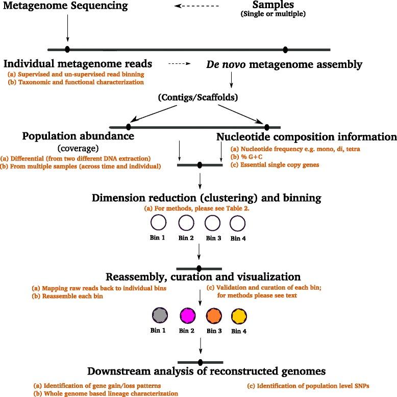 https://cdn.ncbi.nlm.nih.gov/pmc/blobs/1711/4782286/128a732d5011/40168_2016_154_Fig1_HTML.jpg