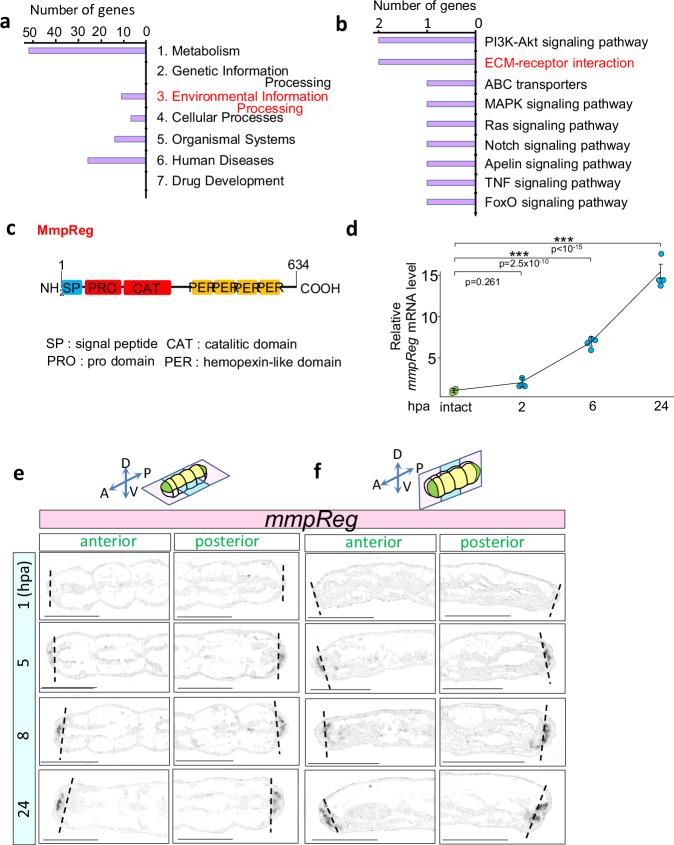 https://cdn.ncbi.nlm.nih.gov/pmc/blobs/1712/11341731/7709b93938eb/41467_2024_50865_Fig3_HTML.jpg