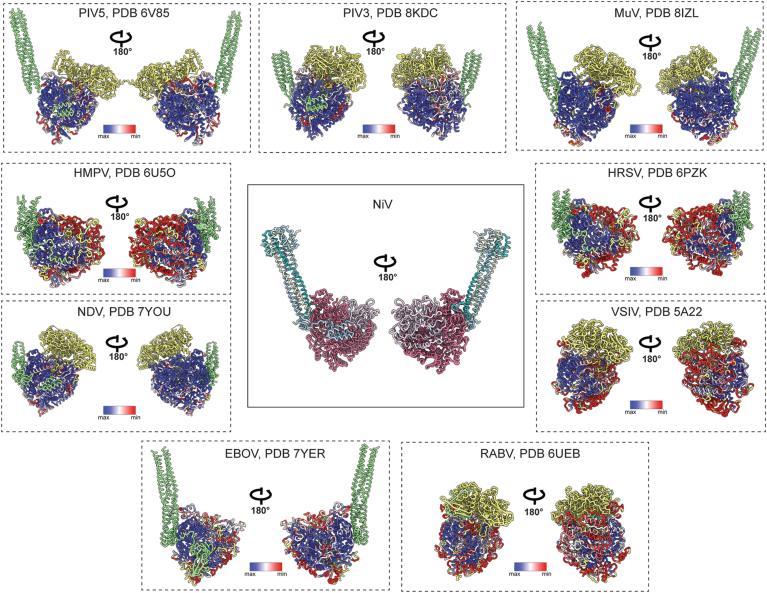 https://cdn.ncbi.nlm.nih.gov/pmc/blobs/1712/11730344/8fcaebd2192c/44318_2024_321_Fig9_ESM.jpg