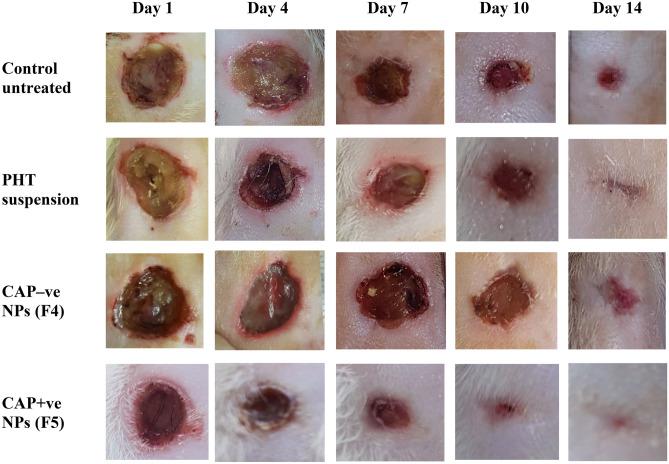 https://cdn.ncbi.nlm.nih.gov/pmc/blobs/1712/9636106/ed7911ba409e/13346_2022_1156_Fig4_HTML.jpg