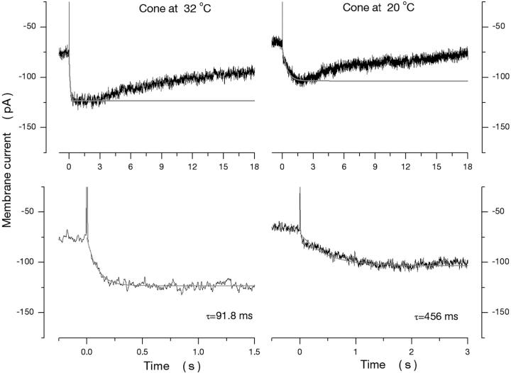 https://cdn.ncbi.nlm.nih.gov/pmc/blobs/1715/2217411/1cd807aeee6c/200308952f5.jpg